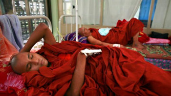 monaco birmano ferito in battaglia